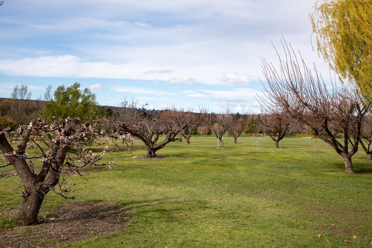 Photo of property in 1 Paulin Road, Earnscleugh, Alexandra, 9391