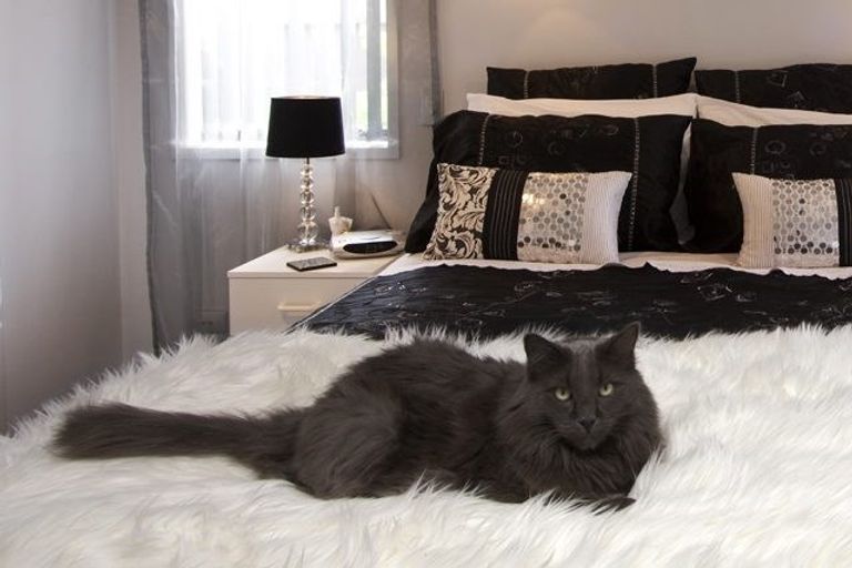 Photo of property in 18 Bill Miller Drive, Papamoa, 3118