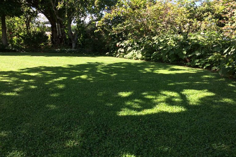 Photo of property in 99 Lyon Street, Kihikihi, Te Awamutu, 3800