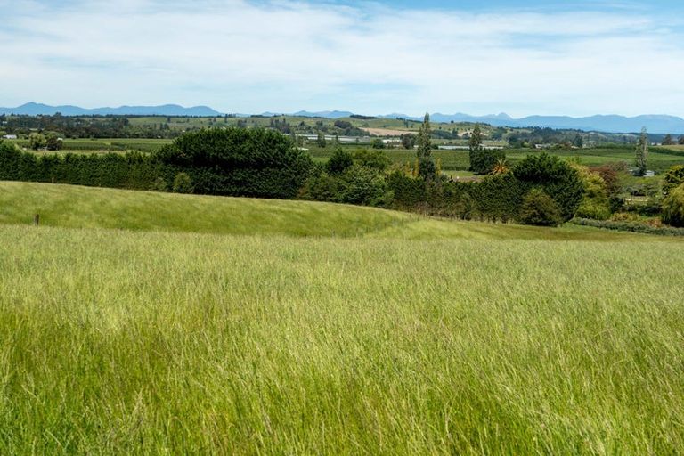 Photo of property in 46 Waiwhero Road, Lower Moutere, Upper Moutere, 7175