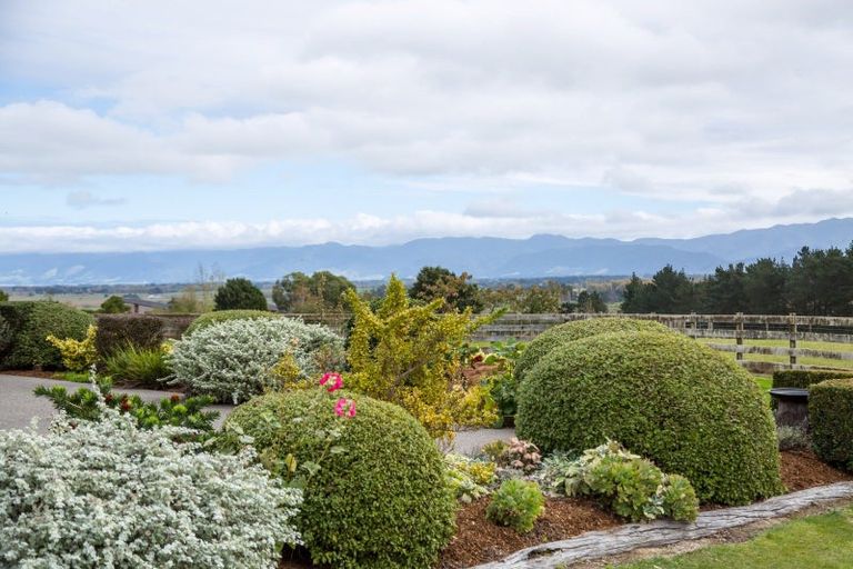 Photo of property in 184 Glenmorven Road, Morison Bush, Greytown, 5794