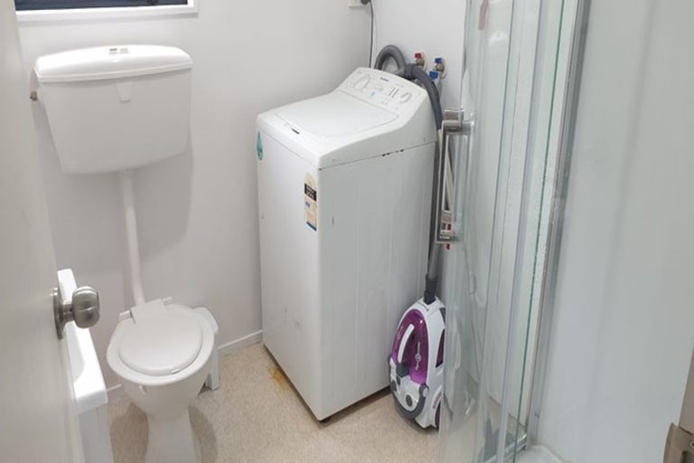 Photo of property in 14 Duddingstone Steps, North East Valley, Dunedin, 9010