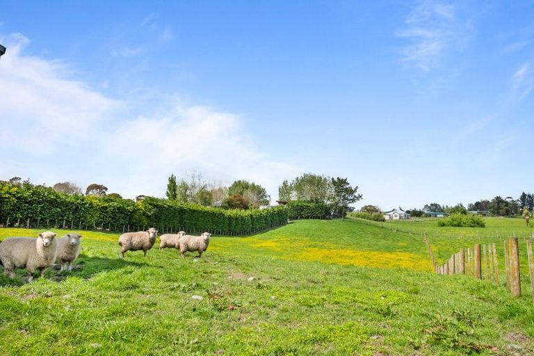 Photo of property in 2923 State Highway 1, Sanson, Palmerston North, 4479