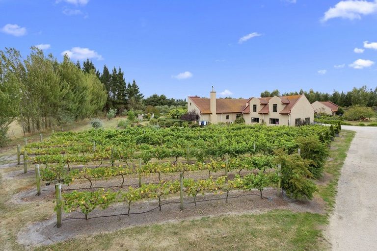 Photo of property in 434 Terrace Road, Leithfield, Amberley, 7481