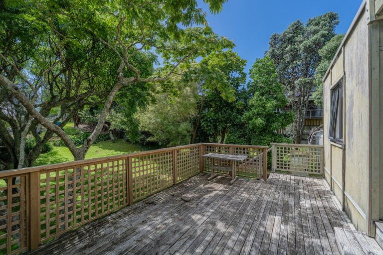 Photo of property in 863 Black Jack Road, Opito Bay, Whitianga, 3592