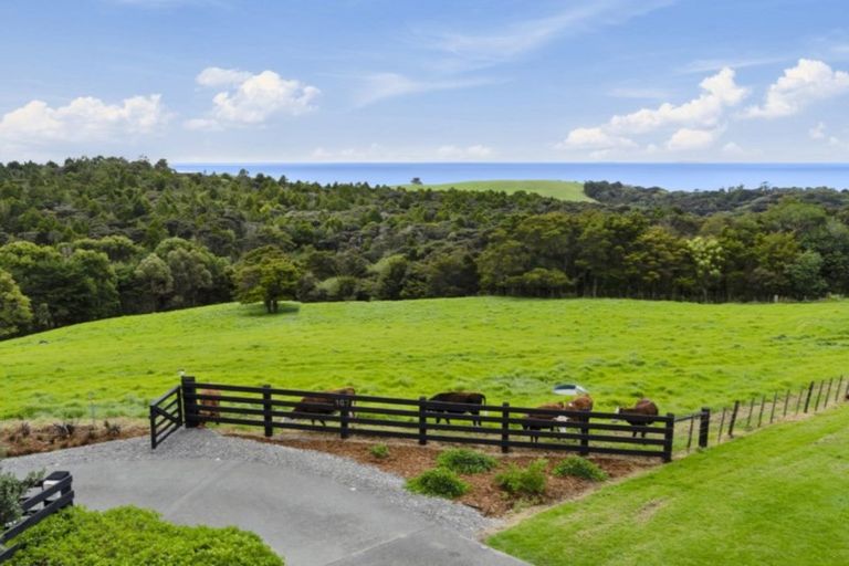 Photo of property in 167 Cape Rodney Road, Leigh, 0985