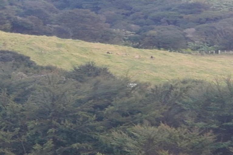 Photo of property in 482 Krippner Road, Puhoi, Warkworth, 0994