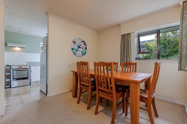 Photo of property in 115c College Street, Awapuni, Palmerston North, 4412