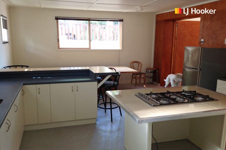 Photo of property in 59 Selwyn Street, North East Valley, Dunedin, 9010