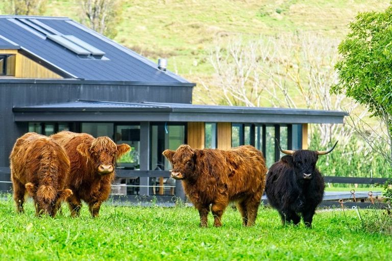 Photo of property in 276 Gaddums Hill Road, Outer Kaiti, Gisborne, 4010