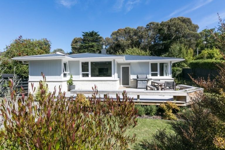 Photo of property in 1 Von Dadelszen Place, Havelock North, 4130
