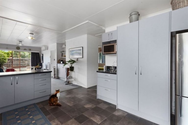 Photo of property in 3/28 Douglas Street, Whakatane, 3120