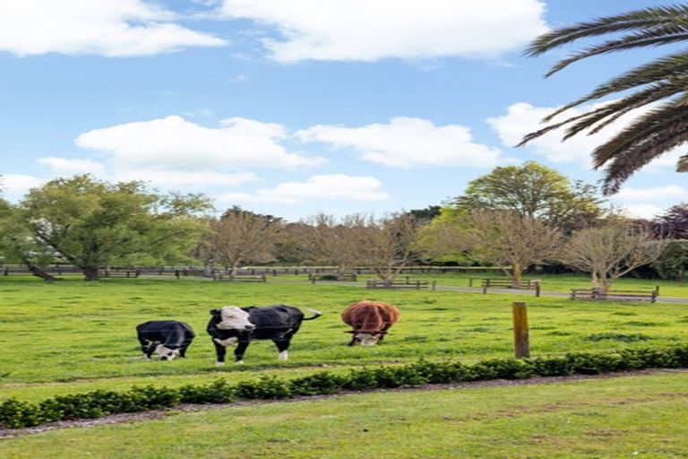 Photo of property in 19 Hereford Drive, Horsham Downs, Hamilton, 3281