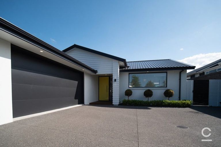 Photo of property in 91 Carmichael Road, Bethlehem, Tauranga, 3110