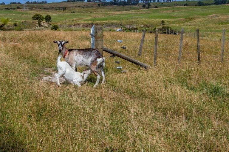 Photo of property in 31 Ranganui Road, Kaiwaka, 0573