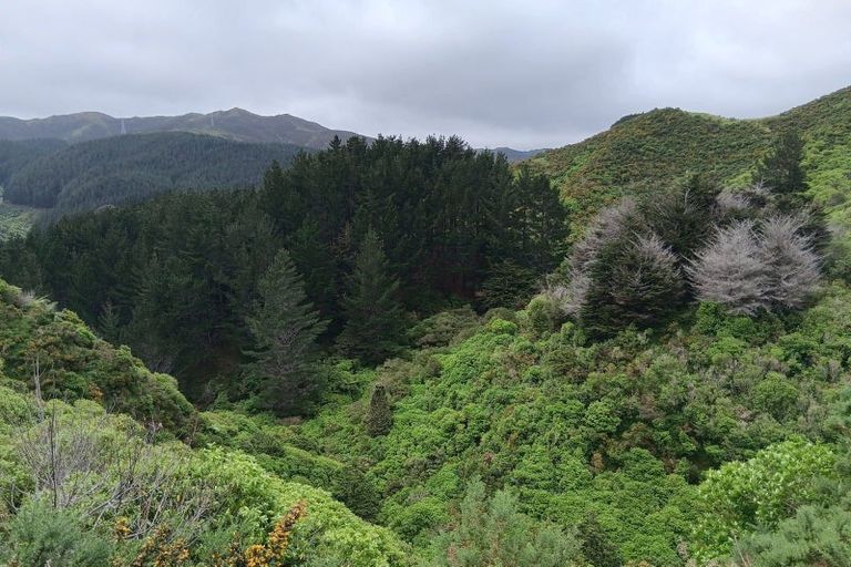 Photo of property in 741 Makara Road, Makara, Wellington, 6972