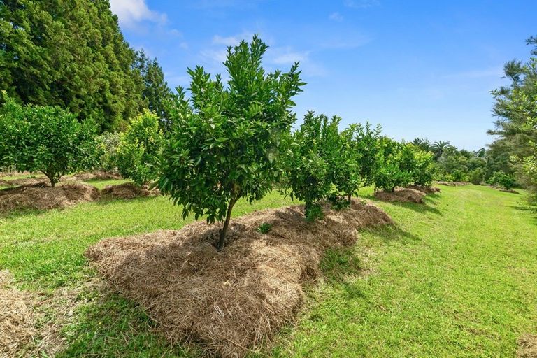 Photo of property in 73h Riddell Road, Kerikeri, 0230