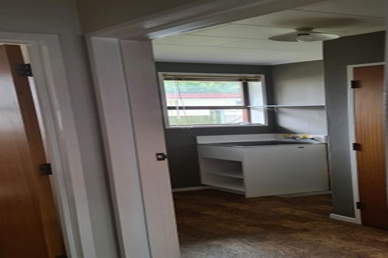 Photo of property in 217e Ruahine Street, Roslyn, Palmerston North, 4414