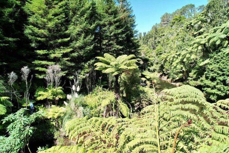Photo of property in 262 Wainui Road South, Whakamarama, Katikati, 3181