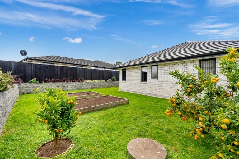 Photo of property in 18 Sycamore Drive, Sunnynook, Auckland, 0620