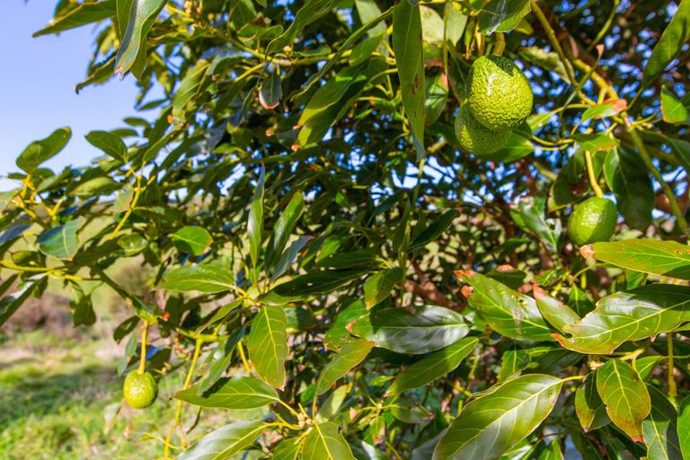 Photo of property in 497b Wainui Road, Raglan, 3297