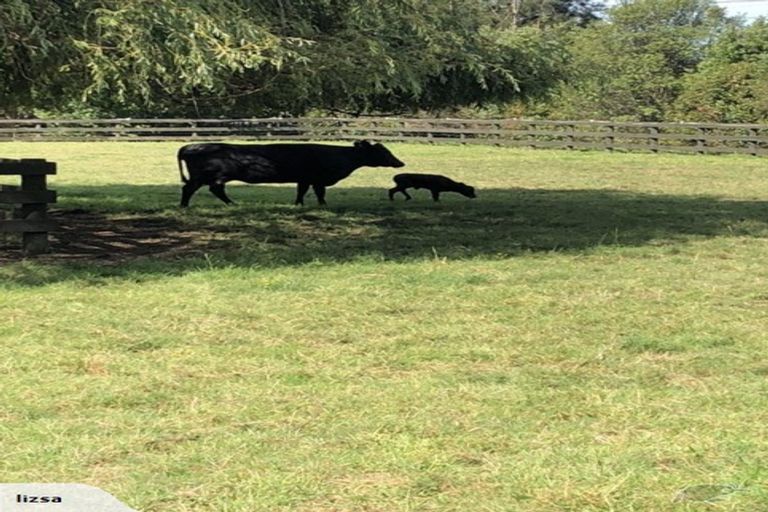 Photo of property in 2253 State Highway 16, Helensville, 0875