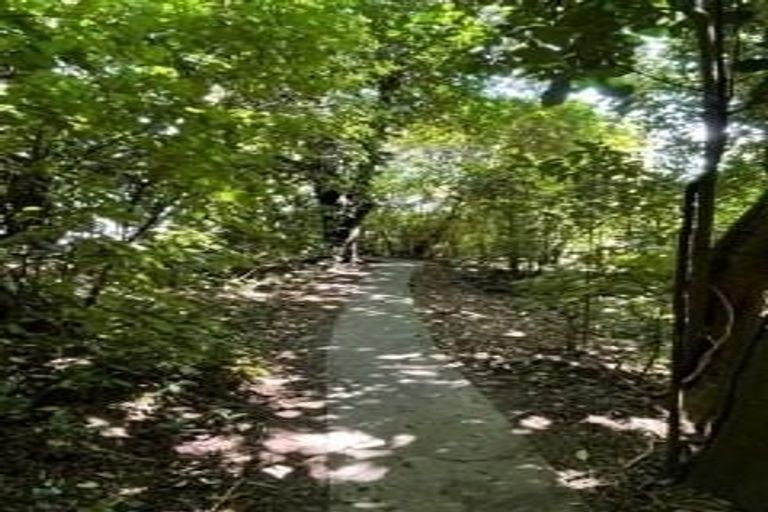 Photo of property in 325 Grays Road, Pauatahanui, Porirua, 5381