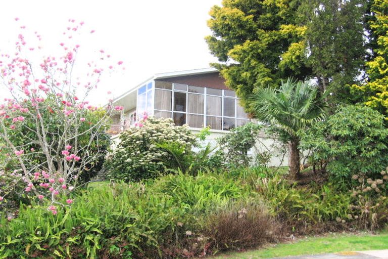 Photo of property in 36 Vine Avenue, Maungatapu, Tauranga, 3112