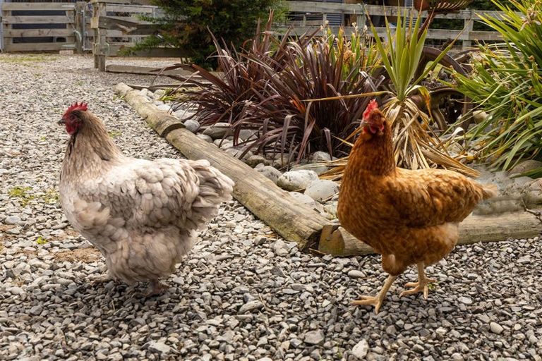 Photo of property in 2611 State Highway 63, Wairau Valley, Blenheim, 7271