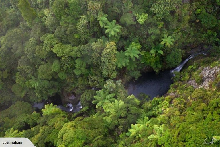 Photo of property in 122 Lone Kauri Road, Karekare, New Lynn, 0772