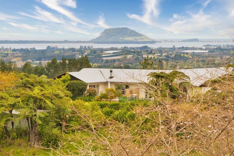 Photo of property in 257f Whakamarama Road, Whakamarama, Tauranga, 3179