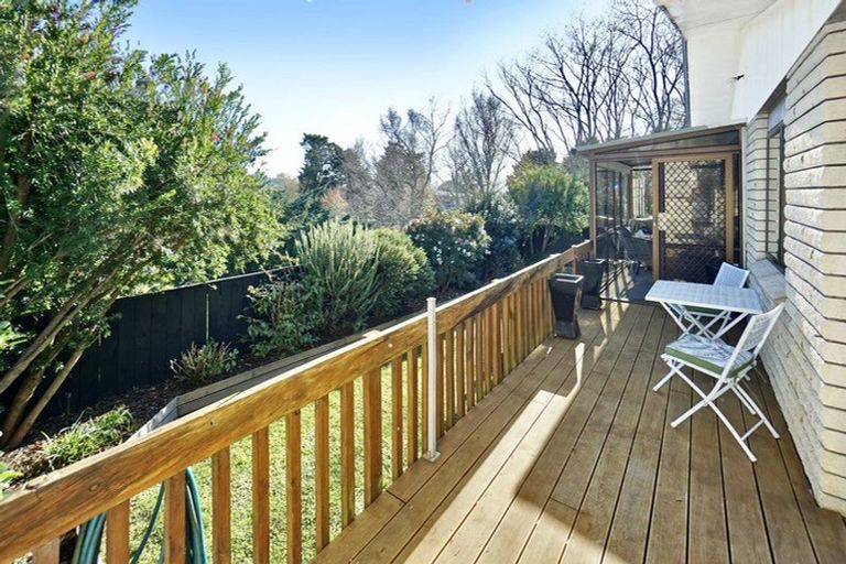 Photo of property in 5d Cameron Road, Te Puke, 3119