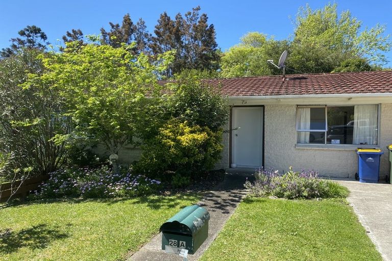 Photo of property in 2/28 Morton Avenue, Forrest Hill, Auckland, 0620