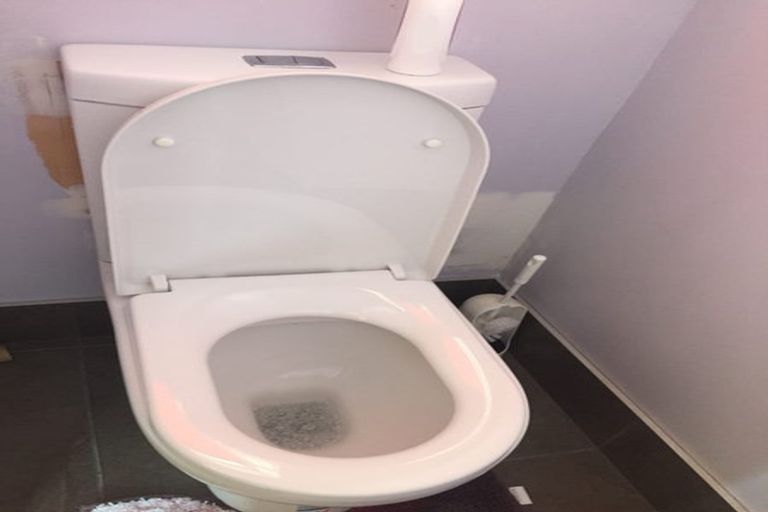 Photo of property in 18 Dunstan Street, Otaki, 5512