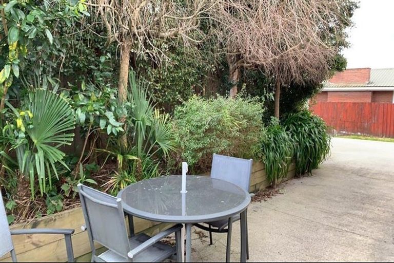 Photo of property in 24a Vine Avenue, Maungatapu, Tauranga, 3112