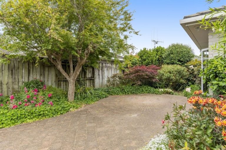 Photo of property in 11 Ngahere Street, Otumoetai, Tauranga, 3110