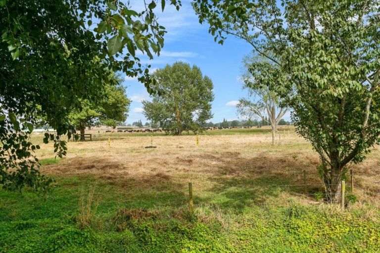 Photo of property in 66 Mill Road, Ohaupo, 3881