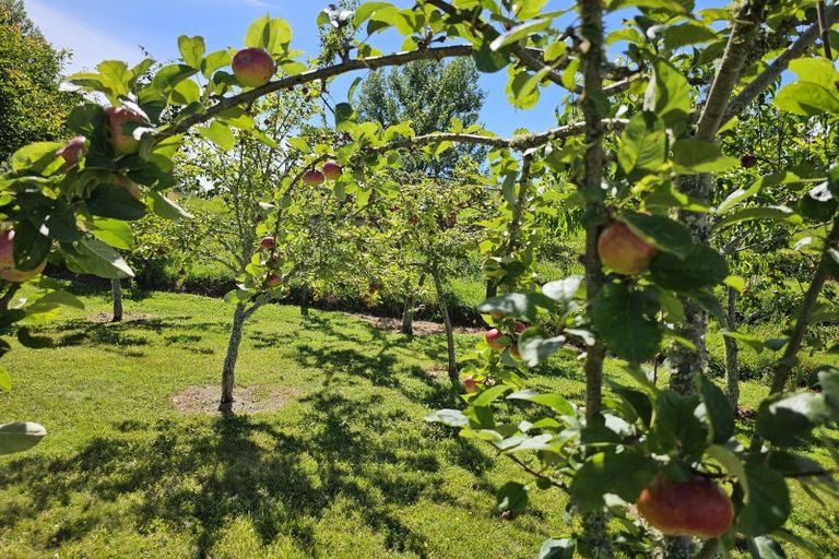 Photo of property in 105 Hossack Road, Ngakuru, 3077