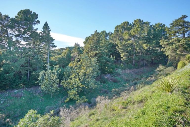 Photo of property in 315 Mount Pleasant Road, Mount Pleasant, Christchurch, 8081