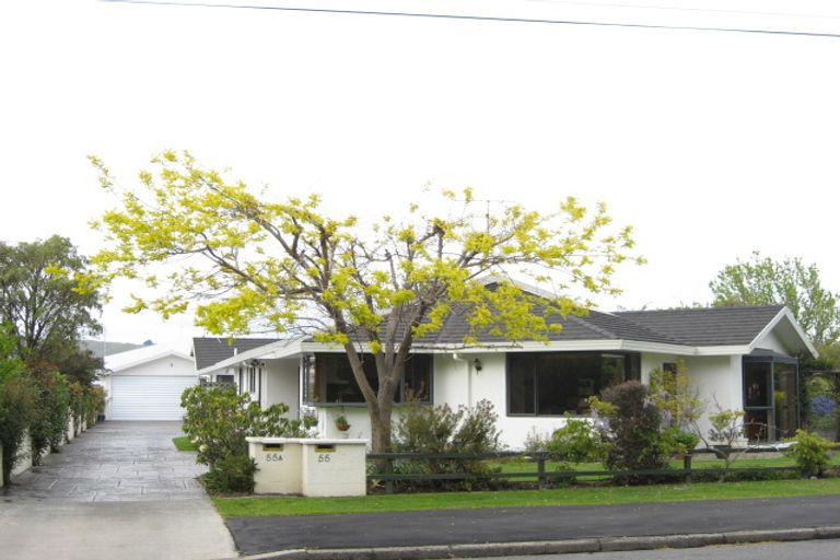Photo of property in 55 Parker Street, Mayfield, Blenheim, 7201