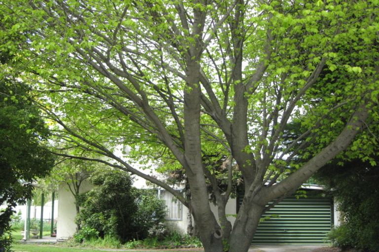 Photo of property in 3 Philip Place, Springlands, Blenheim, 7201