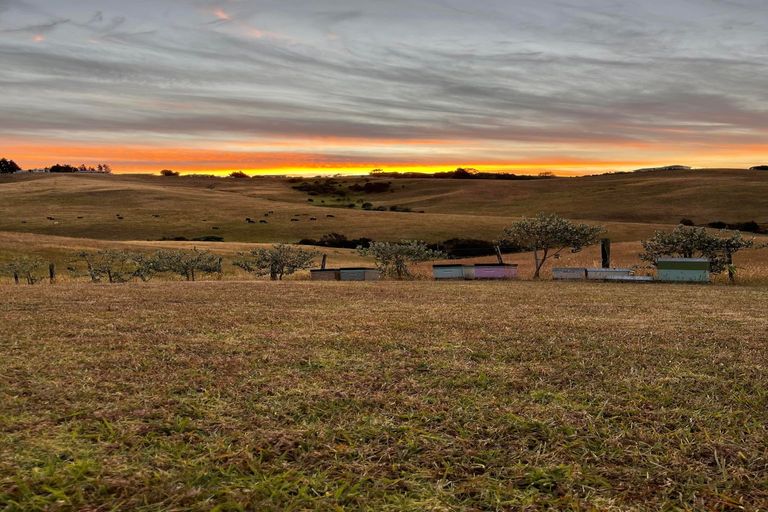 Photo of property in 211c Cable Bay Block Road, Cable Bay, 0420