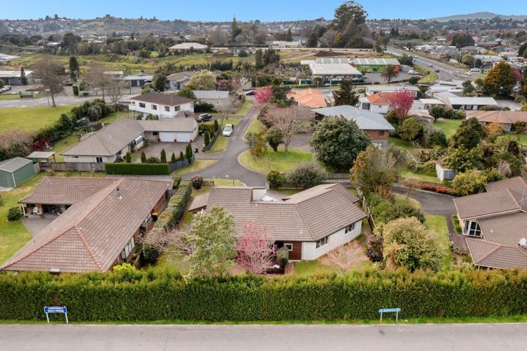 Photo of property in 9 Cherry Way, Bethlehem, Tauranga, 3110