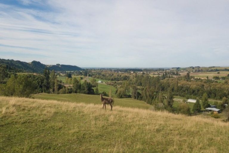 Photo of property in 548 Pleasant Valley Road, Geraldine Downs, Geraldine, 7991