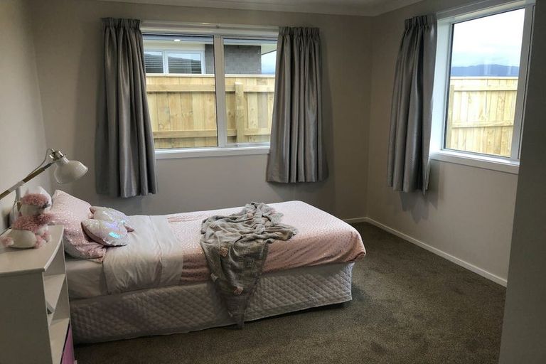 Photo of property in 87 Hinemoa Street, Levin, 5510