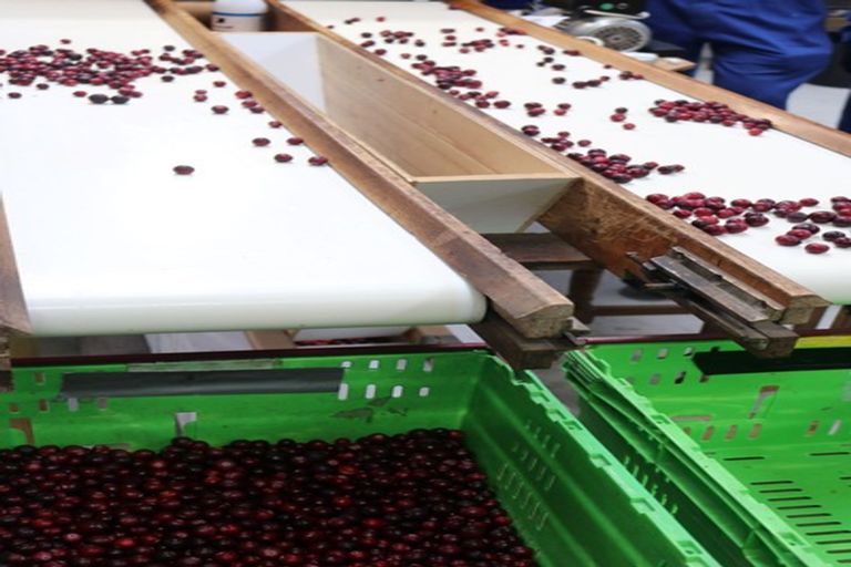 Photo of property in 1218 Old Christchurch Road, Awatuna, Hokitika, 7882