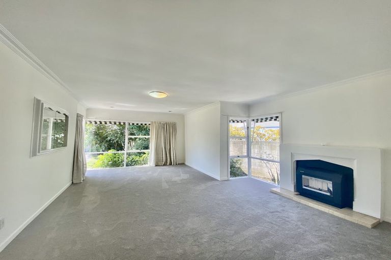 Photo of property in 38 Mcdougall Avenue, St Albans, Christchurch, 8014