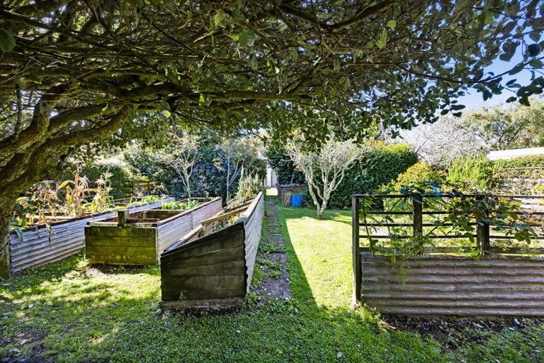 Photo of property in 36 Percy Avenue, Stratford, 4332