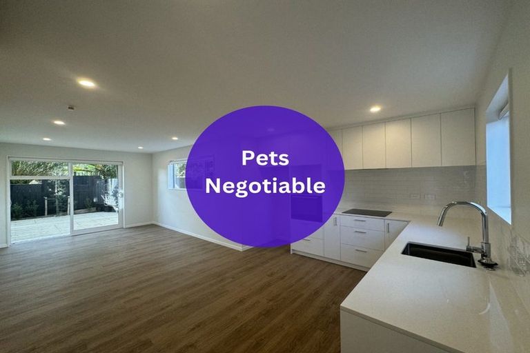 Photo of property in 9/5 Preston Avenue, Henderson, Auckland, 0610