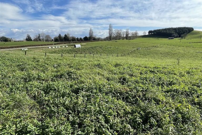 Photo of property in 78 Whawharua Road, Otorohanga, 3975